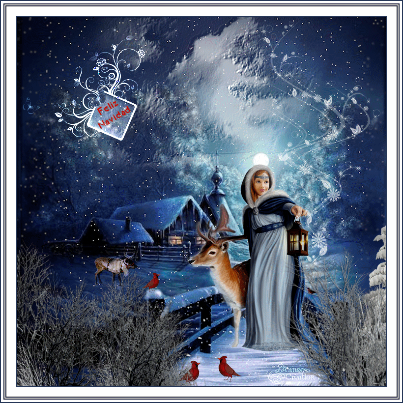 Magica navidad de stella