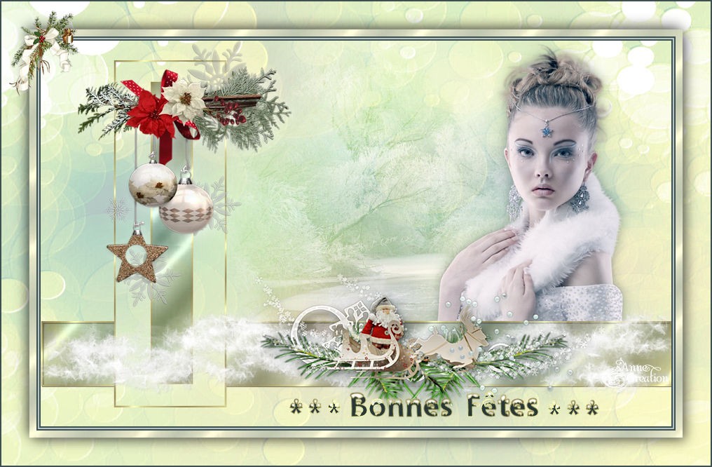 Noel de belle de nuit