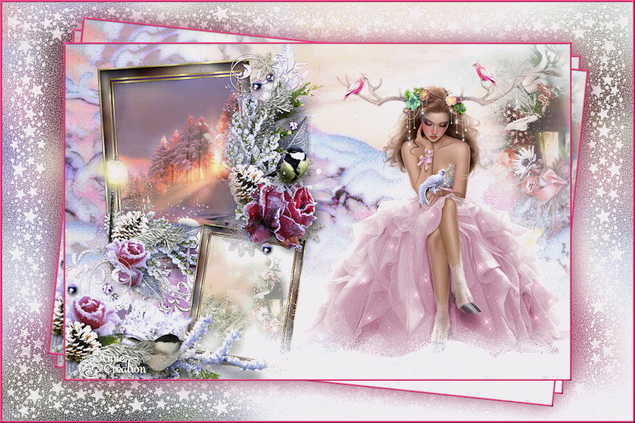 Noel rose d alyciane