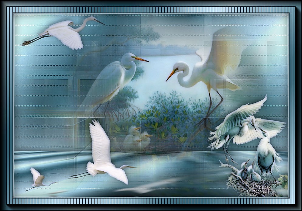 Oiseaux migrateurs de papicha