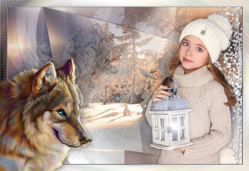 Winter de stella